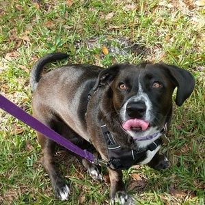 Meet your Posher, Isabella